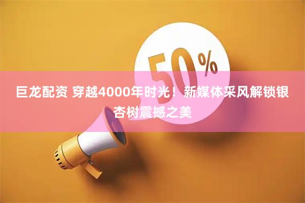 巨龙配资 穿越4000年时光！新媒体采风解锁银杏树震撼之美