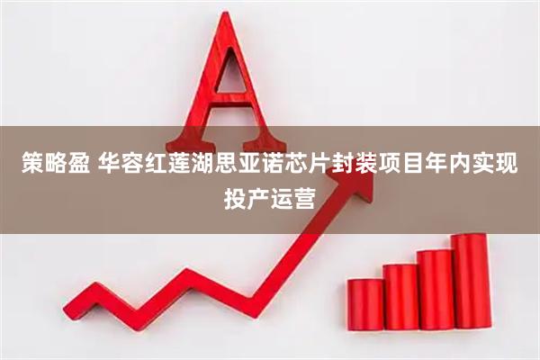 策略盈 华容红莲湖思亚诺芯片封装项目年内实现投产运营