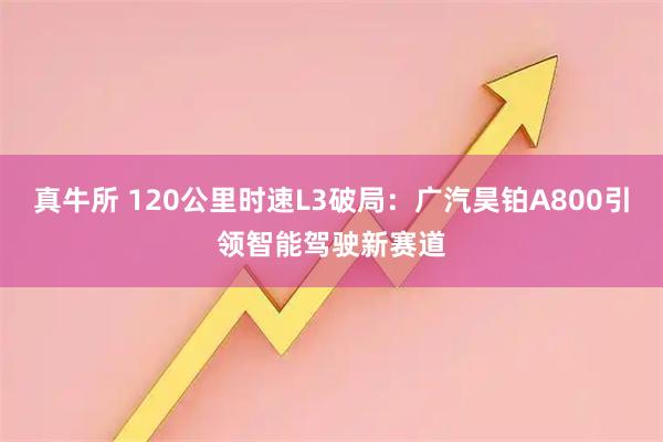 真牛所 120公里时速L3破局：广汽昊铂A800引领智能驾驶新赛道