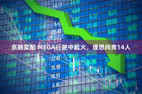 京融实配 MEGA行驶中起火，理想问责14人