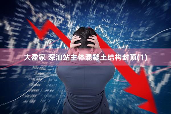 大盈家 深汕站主体混凝土结构封顶(1)